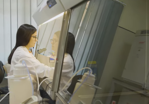Cina und Italien treiben die Innovation bei Materialien voran